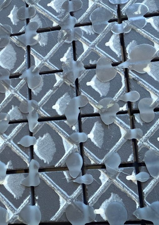 Tratto Plastico 